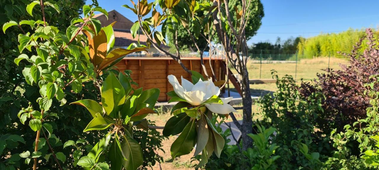 Mas Gabelys Superbe Vue Sainte Victoire Jardin Terrasse Et Piscine Apartment Тре Екстериор снимка